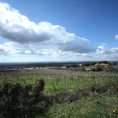 Farm stay La Vista Boutique Ariccia